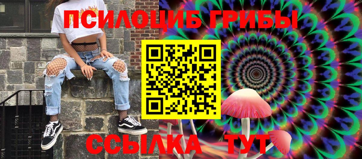 Псилоцибиновые грибы Cubensis Северобайкальск